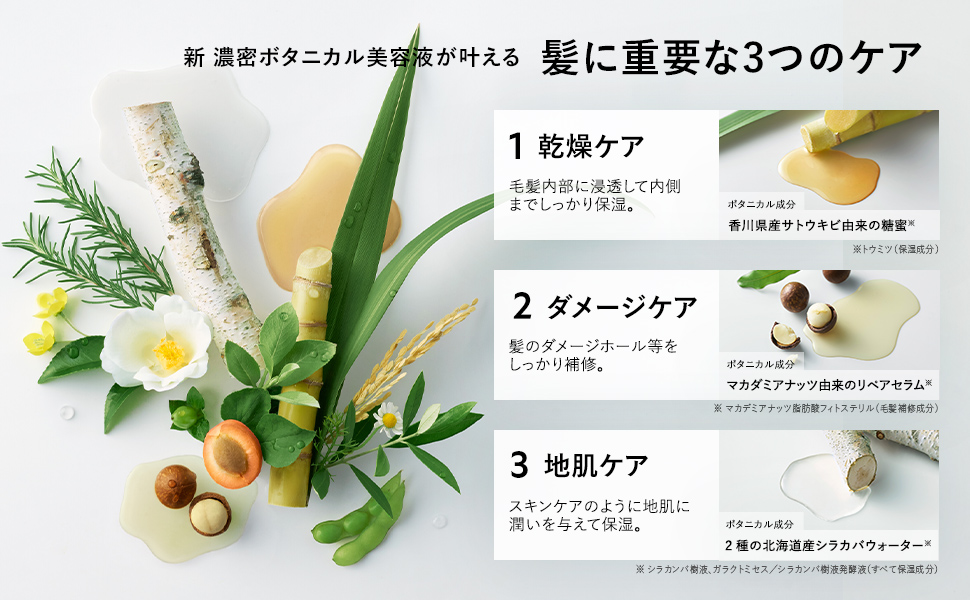 植物学者植物学のシャンプー治療セット