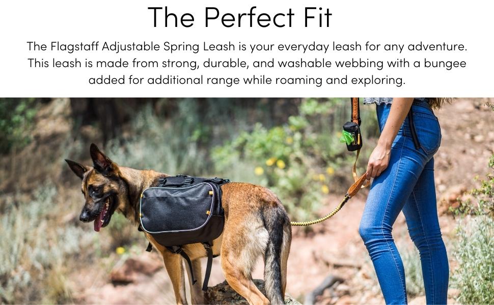 OllyDog Flagstaff Spring Dog Leash with Padded Handle and