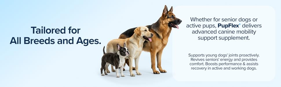 Advanced Dog Joint Supplement BioPup PupFlex+