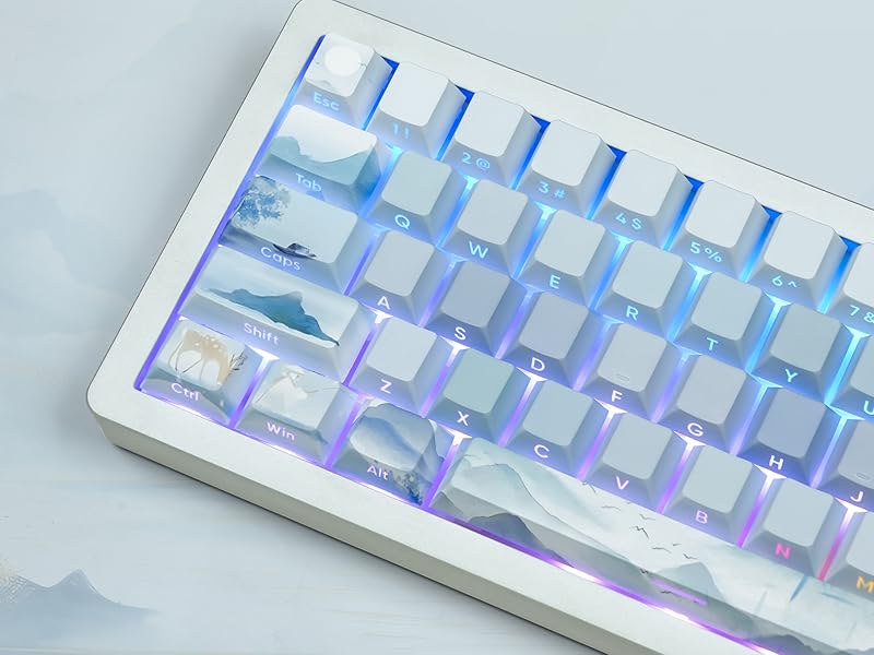 Amazon.com: womier Double Shot PBT keycaps, Shine Throug