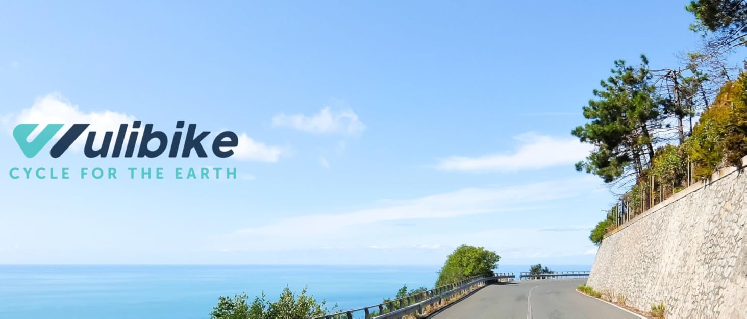 wulibike cycling shorts mens