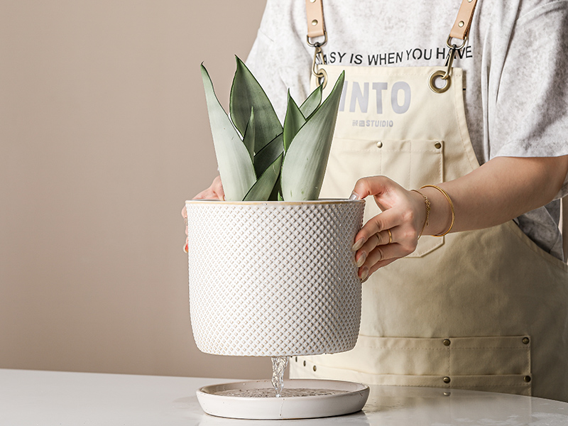 Amazon.com : Chubacoo 8 Inch Plant Pots: Ceramic Planter