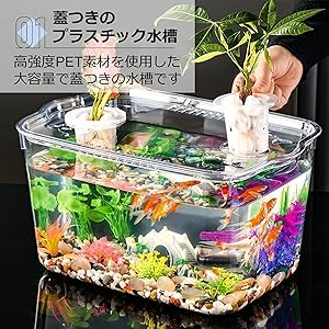 アクアドーム　ペンギン　金魚鉢　新品未使用　液体密閉 Amazon | Asdays 金魚鉢 水槽 金魚 メダカ 飼育 大容量