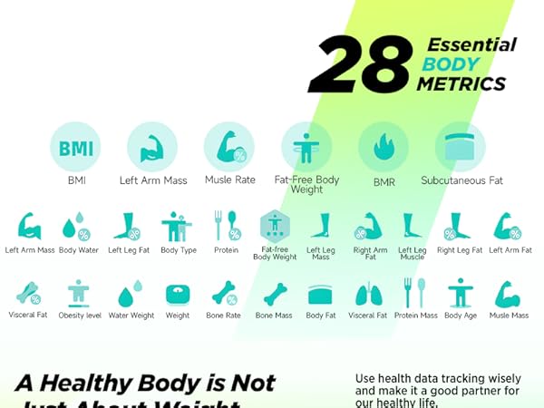 scale for body fat bmi
