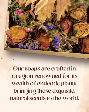 bath soaps for men and women organic