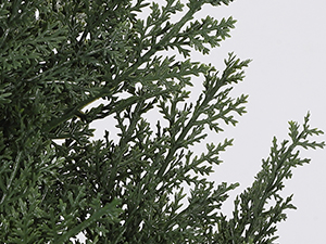 Artificial Topiary Cedar Trees