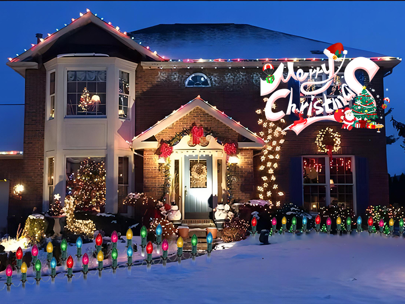 Amazon.com : Pallerina 38FT C9 Christmas Stake Lights