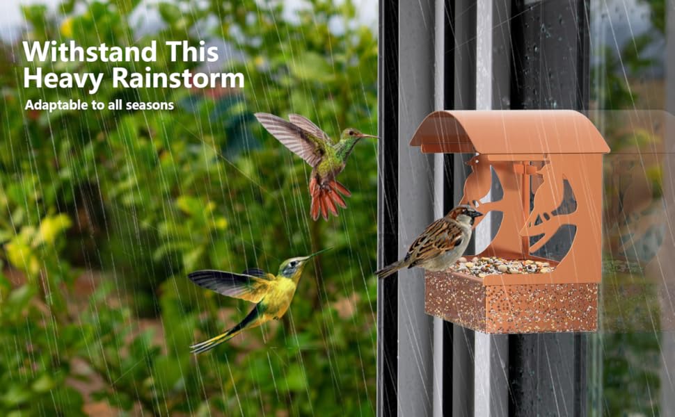 Window Bird Feeder, Tonitrui Metal Window Bird Feeder for