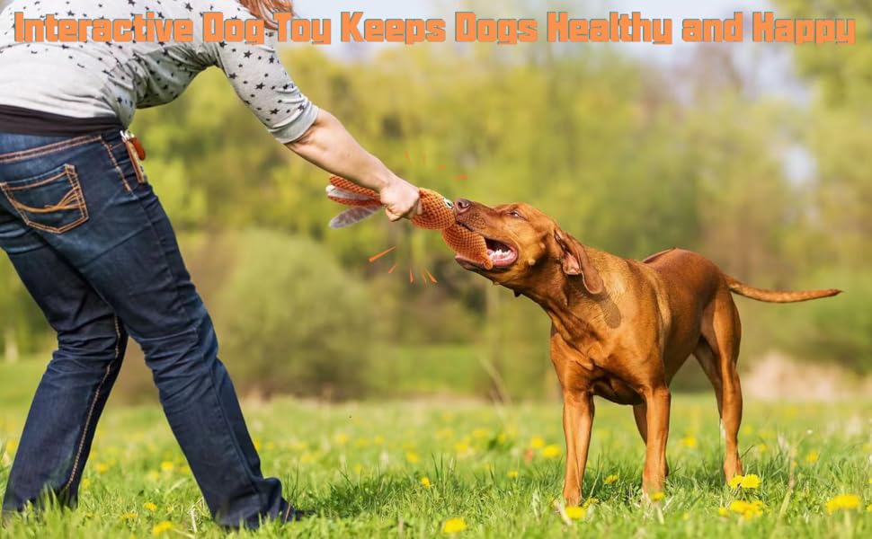 SUNKYPUP Dog Squeaky Toys/Large Dog Toys/Plush Dog Toys/Big Dog Toys/Stuffed Dog