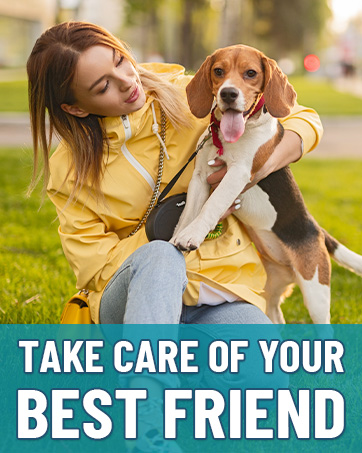 dog probiotics for digestive health