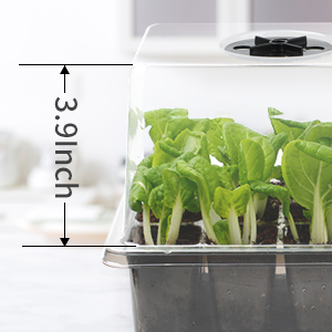 Self-Watering Seed Starter Tray
