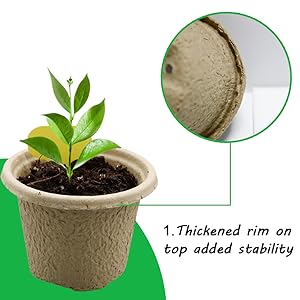 seedling strater pot