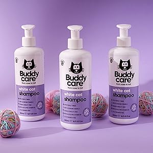 Buddycare