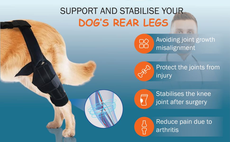 ONYXA Dog ACL Knee Brace Large Dog Knee Brace for Torn