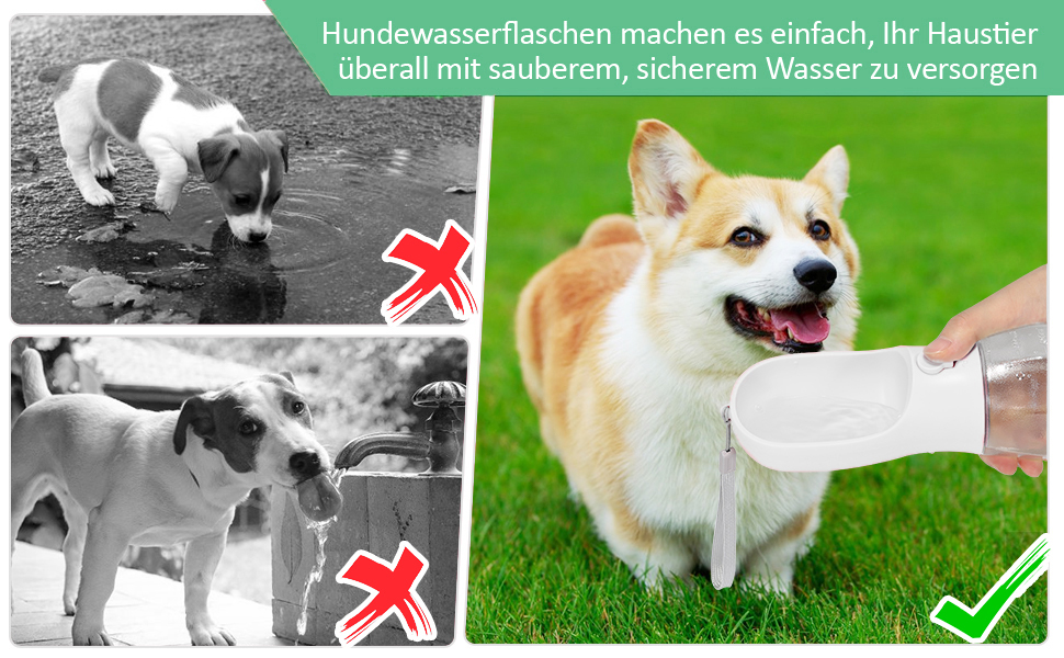 600ml Hundetrinkflasche für Unterwegs 