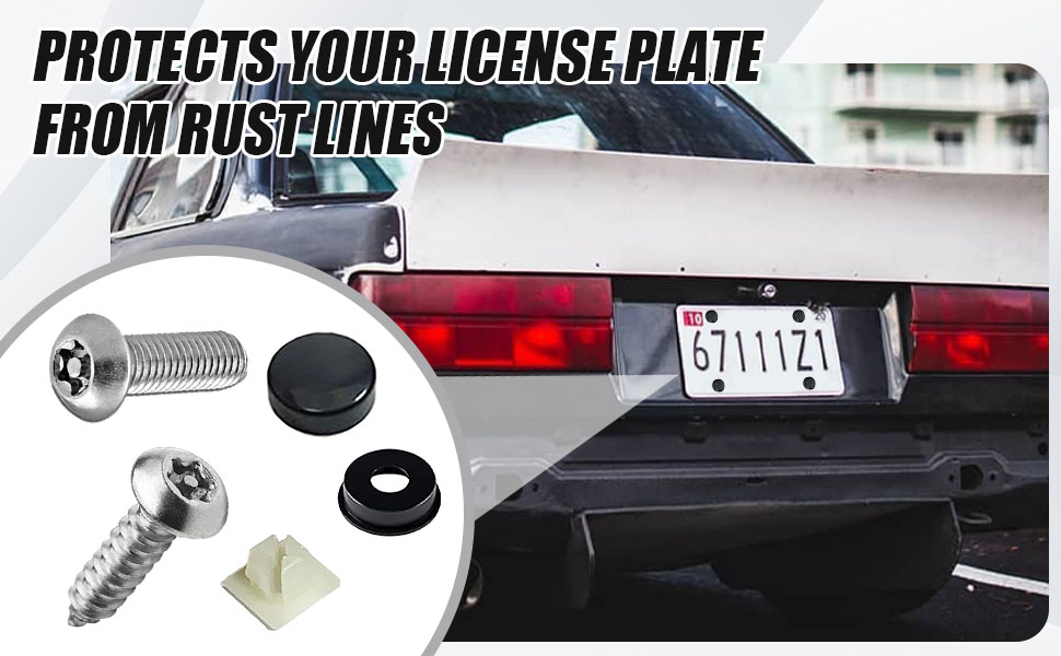 Anti Theft License Plate Screws, Tamper Resistant Licence