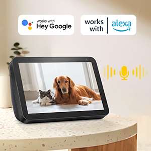 dog camera treat dispenser