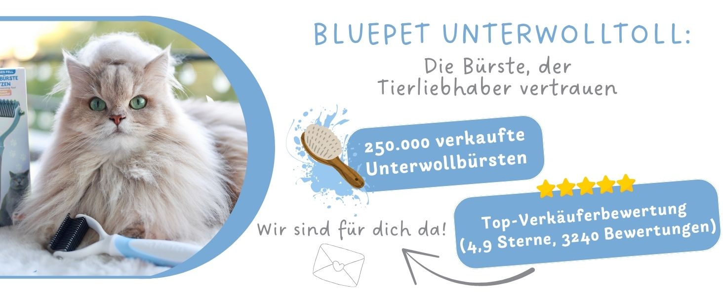 Aplus-Inhaltsbild