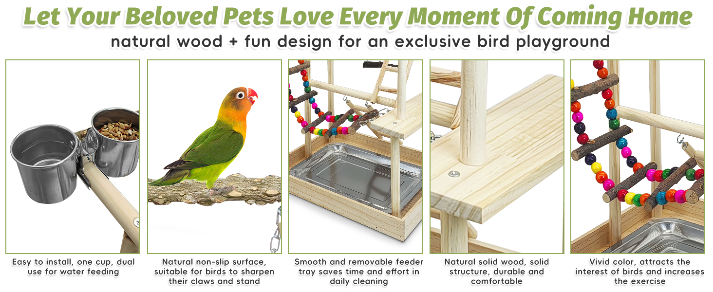 budgie playground