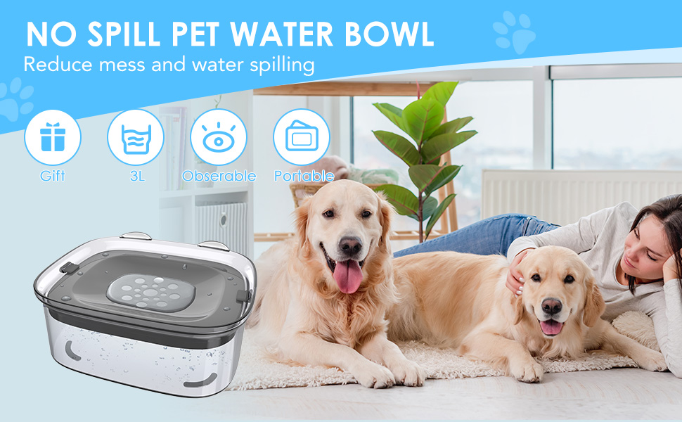 no spill pet water bowl