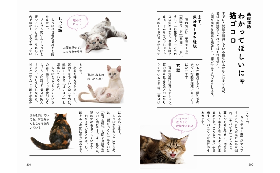 yukiemon こねこ図鑑 キャップ 楽天市場】【期間限定☆送料無料】猫 ねこ コネコカップ