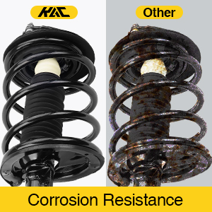 Corrosion resistance