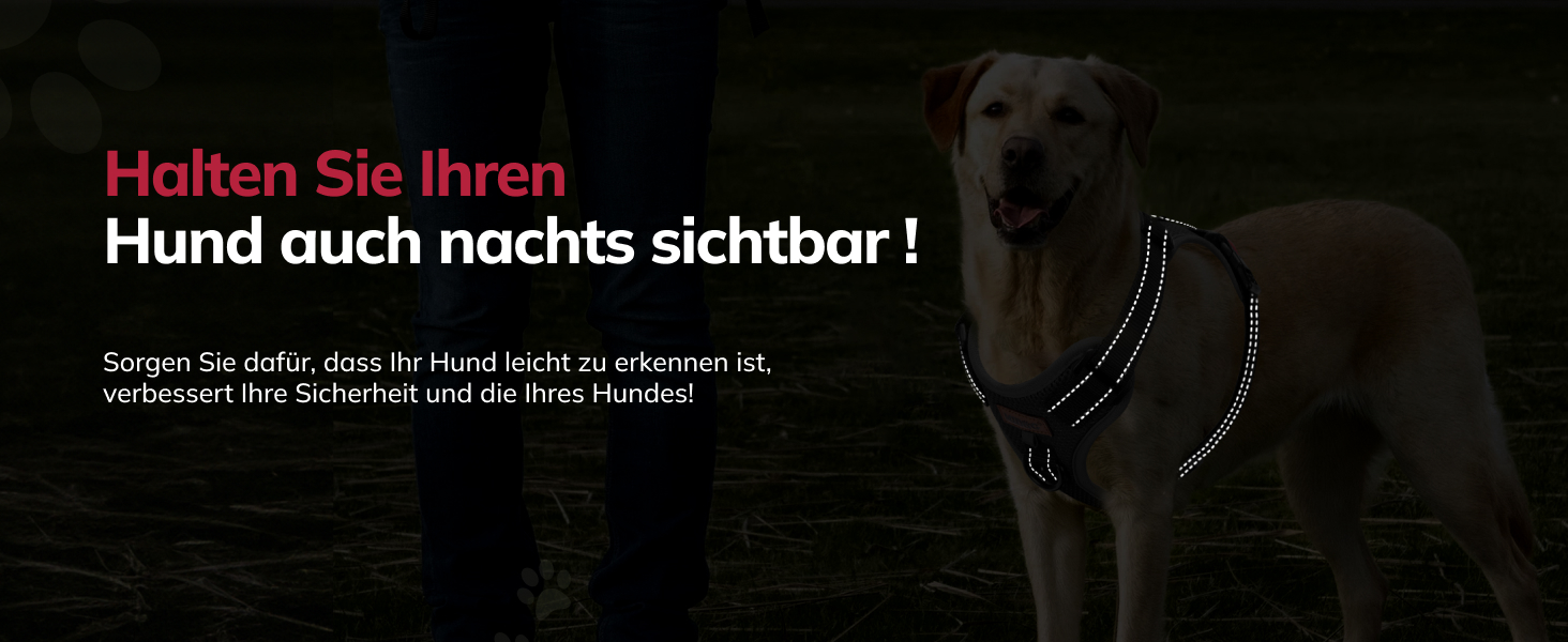 FAYOGOO Dog Harness, No Choke Front Clip Dog Reflective Harness, No