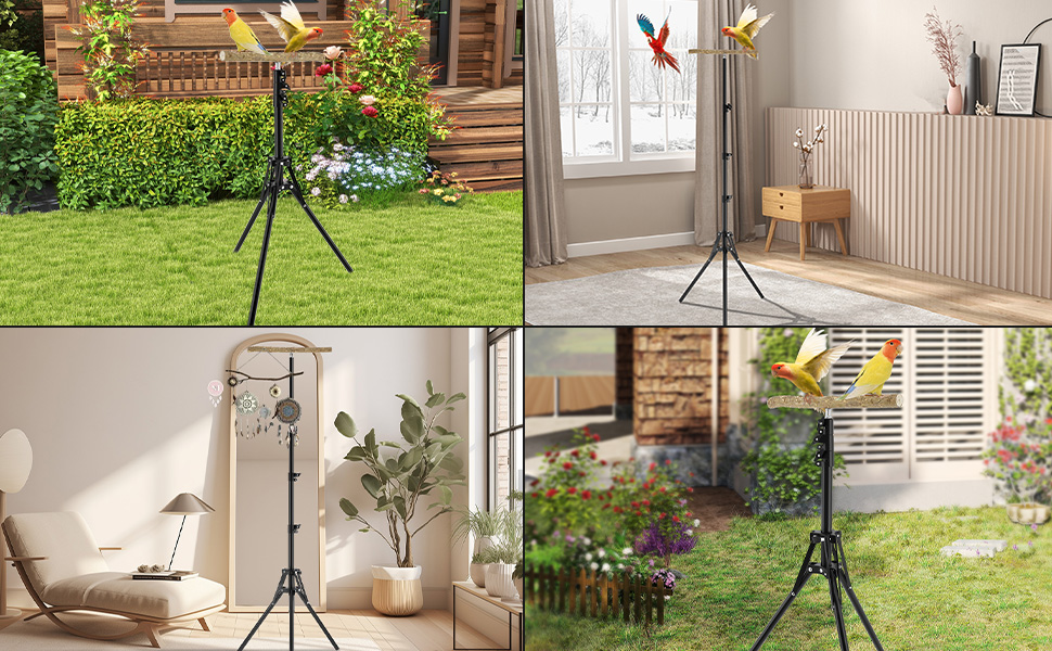 Wood Bird Training Perch Stand