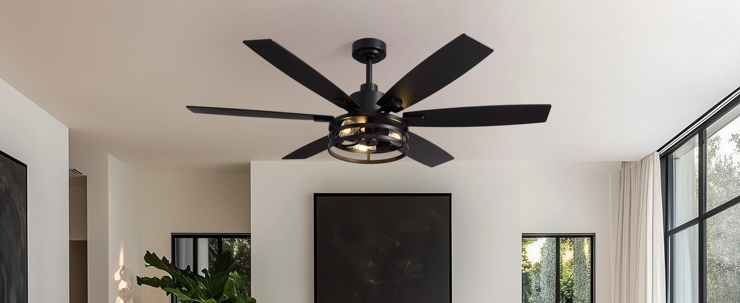 black ceiling fan