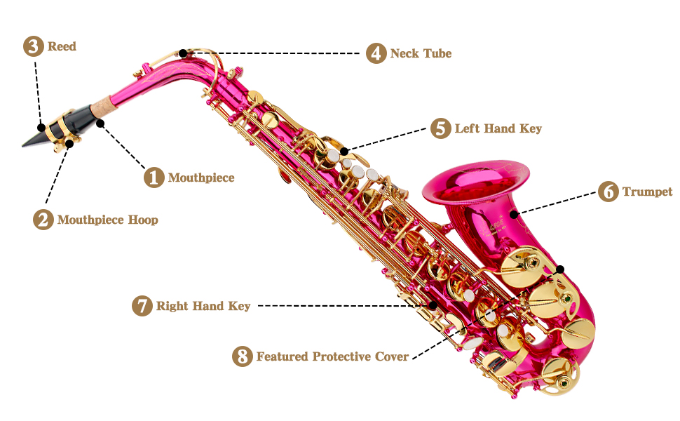 SLADE Saxophone Eb Alto Saxophone for Beginner Students