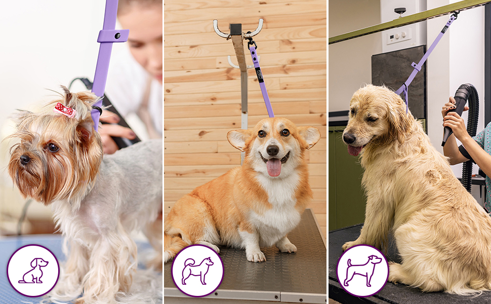 Prestige Elite Set of 6 Dog Groomers Helper Grooming