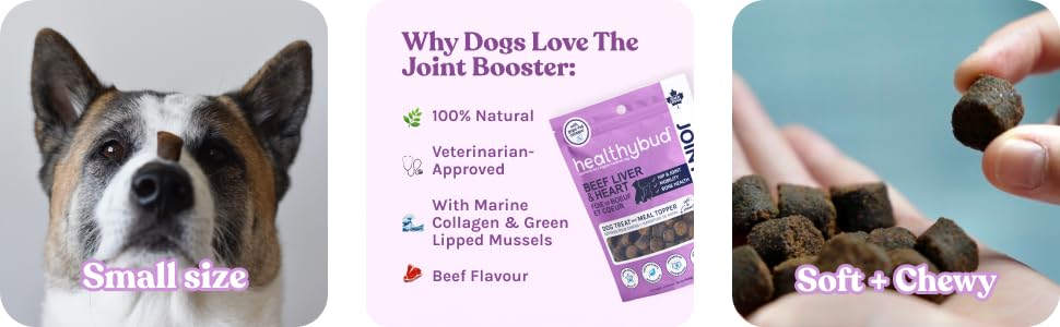 dogs omega-3 joints natural pain relief anti-inflammatory chews dog flexibility support stiffness