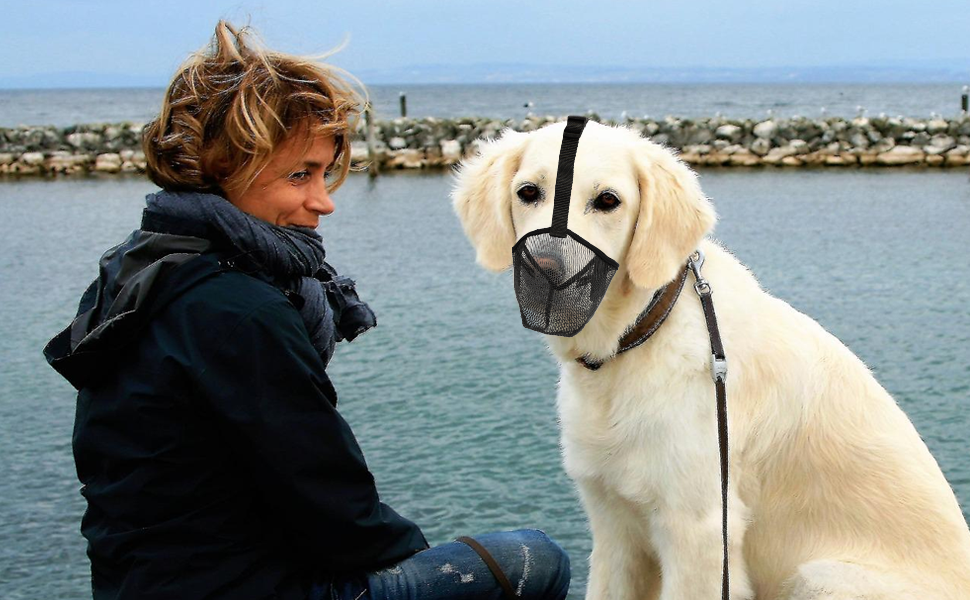 Dog Muzzle, Adjustable Dog Muzzles to Prevent Eating, Biting and