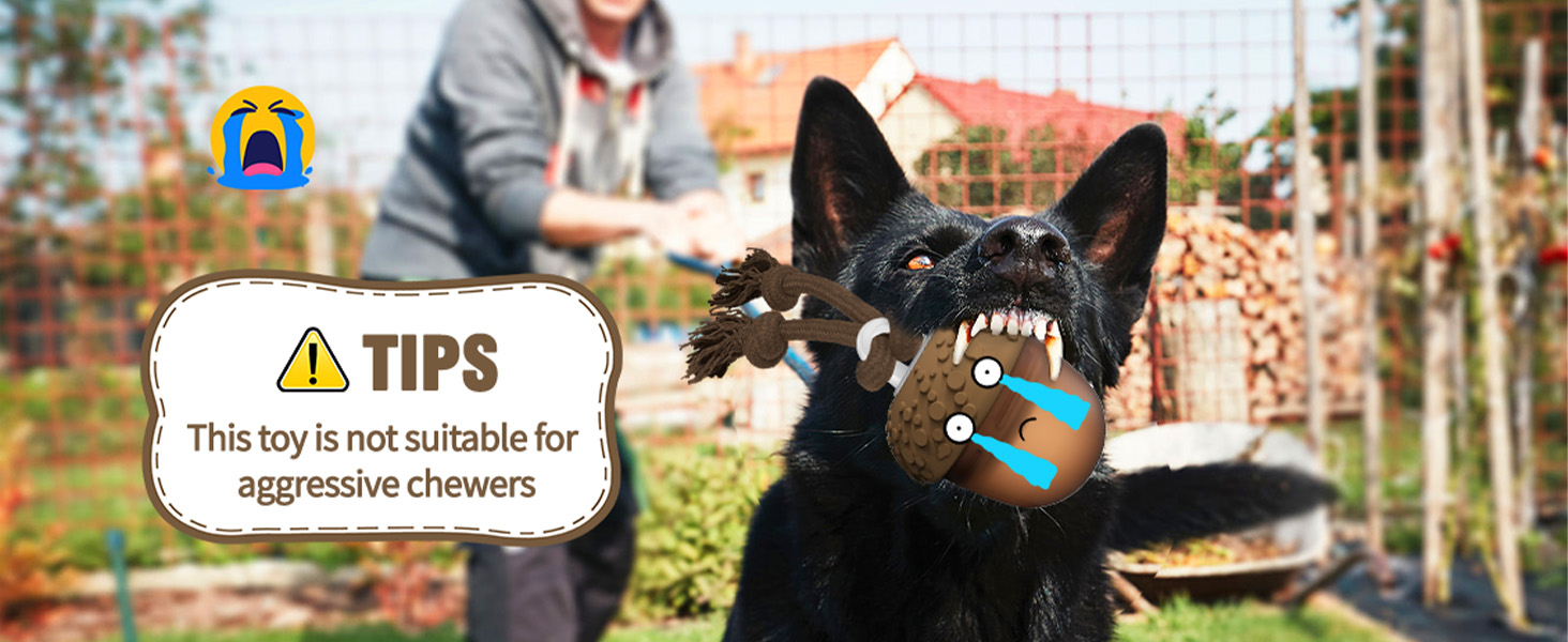 dog toys to keep them busy