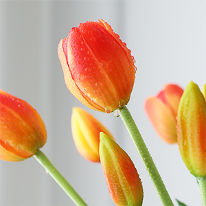 realistic tulips