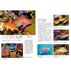 マリンアクアリスト　まとめ売り マリンアクアリスト No.110 (発売日2024年09月27日) | 雑誌/電子
