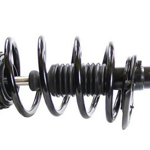 Strut and Coil Spring Assembly5
