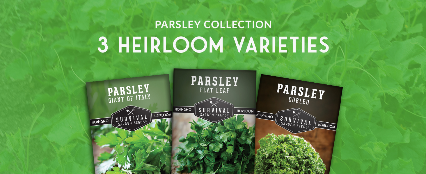 Survival Garden Seeds Parsley Collection