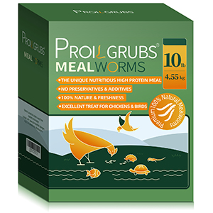 Proilgrubs dried mealworms