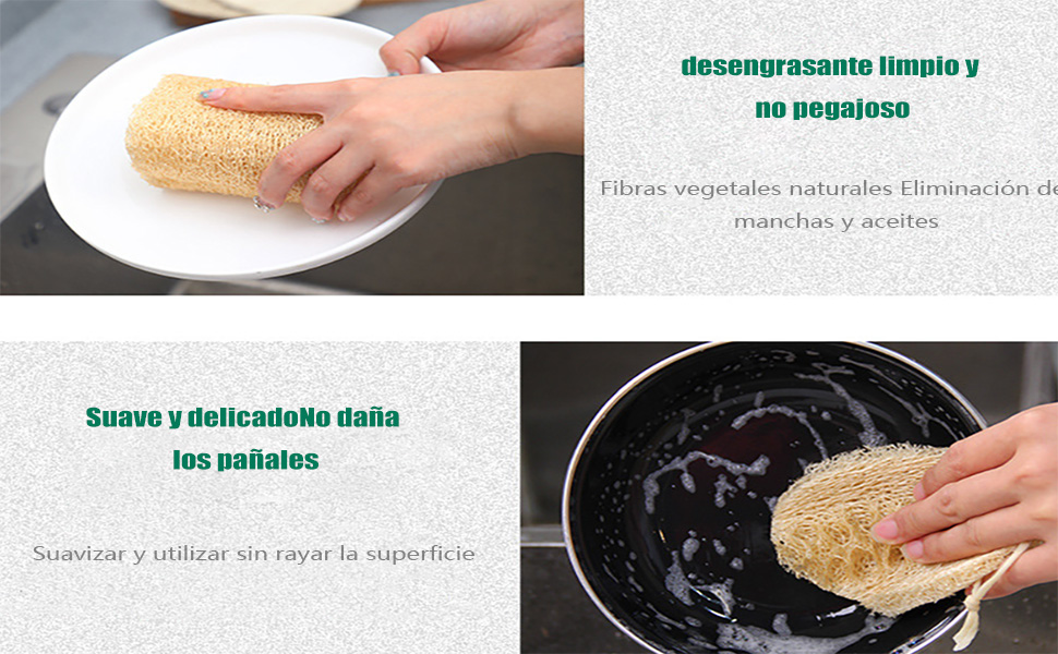 estropajo natural luffa