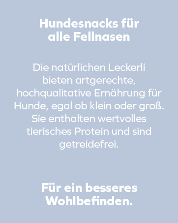 Blauer Hintergrund mit weißem Text, der natürliche Hundeleckerlis beschreibt. Der Text hebt die hochwertige Ernährung, den Proteingehalt und die getreidefreie Zusammensetzung hervor, die für alle Hundegrößen geeignet ist.