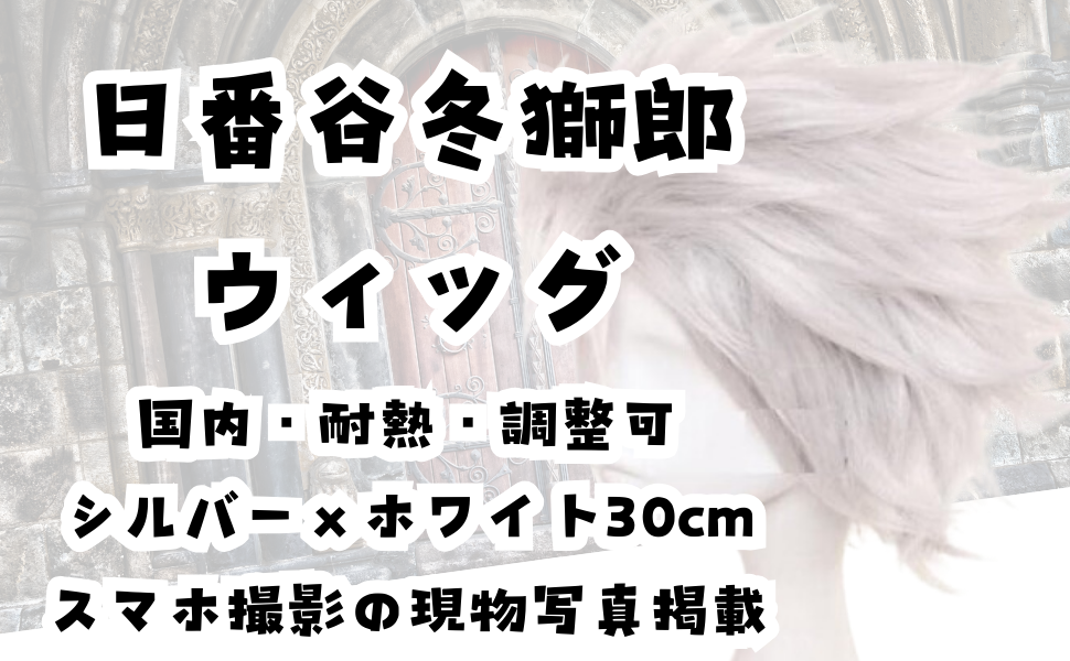 膝&髭　ウィッグ J-0618 ベーシックスタイル L ダークブラウン メンズウィッグ