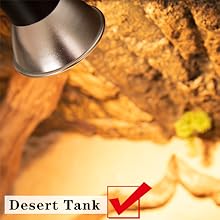 Desert Tank