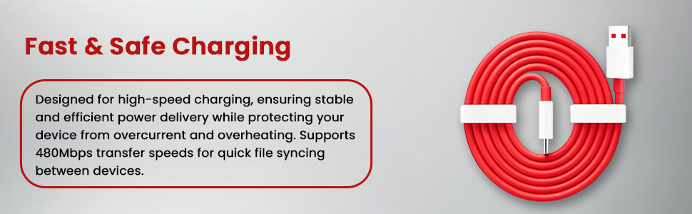 High Power USB Type-C Charging Cable-BI1A9