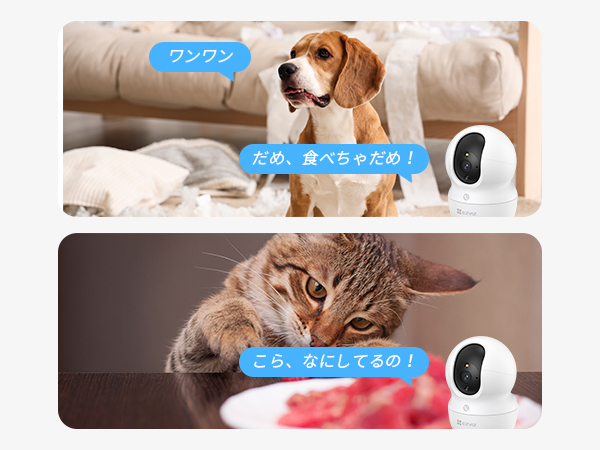 Amazon.co.jp: 【Amazon.co.jp限定】 EZVIZ ペットカメラ 見守りカメラ
