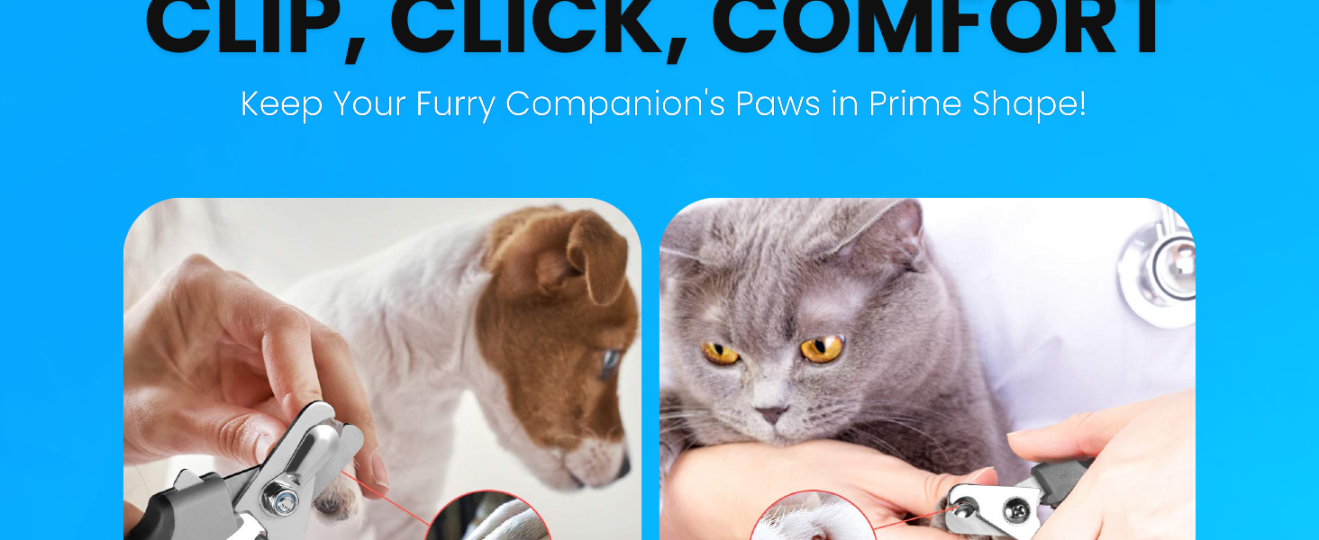 nail cat dog and pets