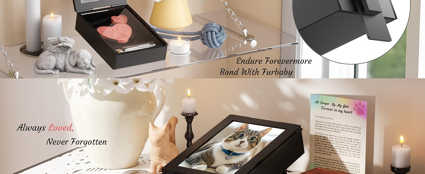 Grarry Pet Memorial Shadow Box with Clay Paw Print Kit, 4