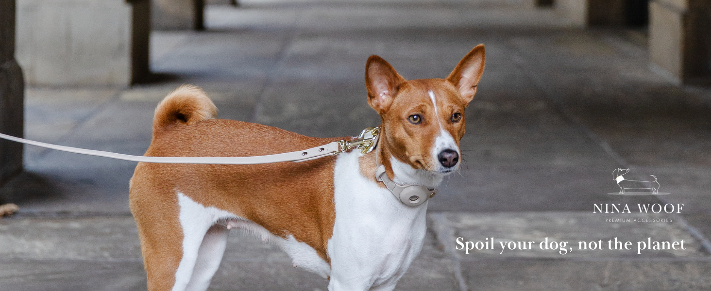  Leather Dog Leash - Padded Luxury Dog Lead