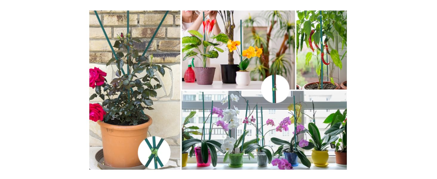 Plant Support Sticks
