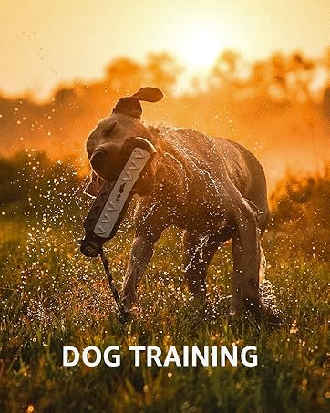dog training